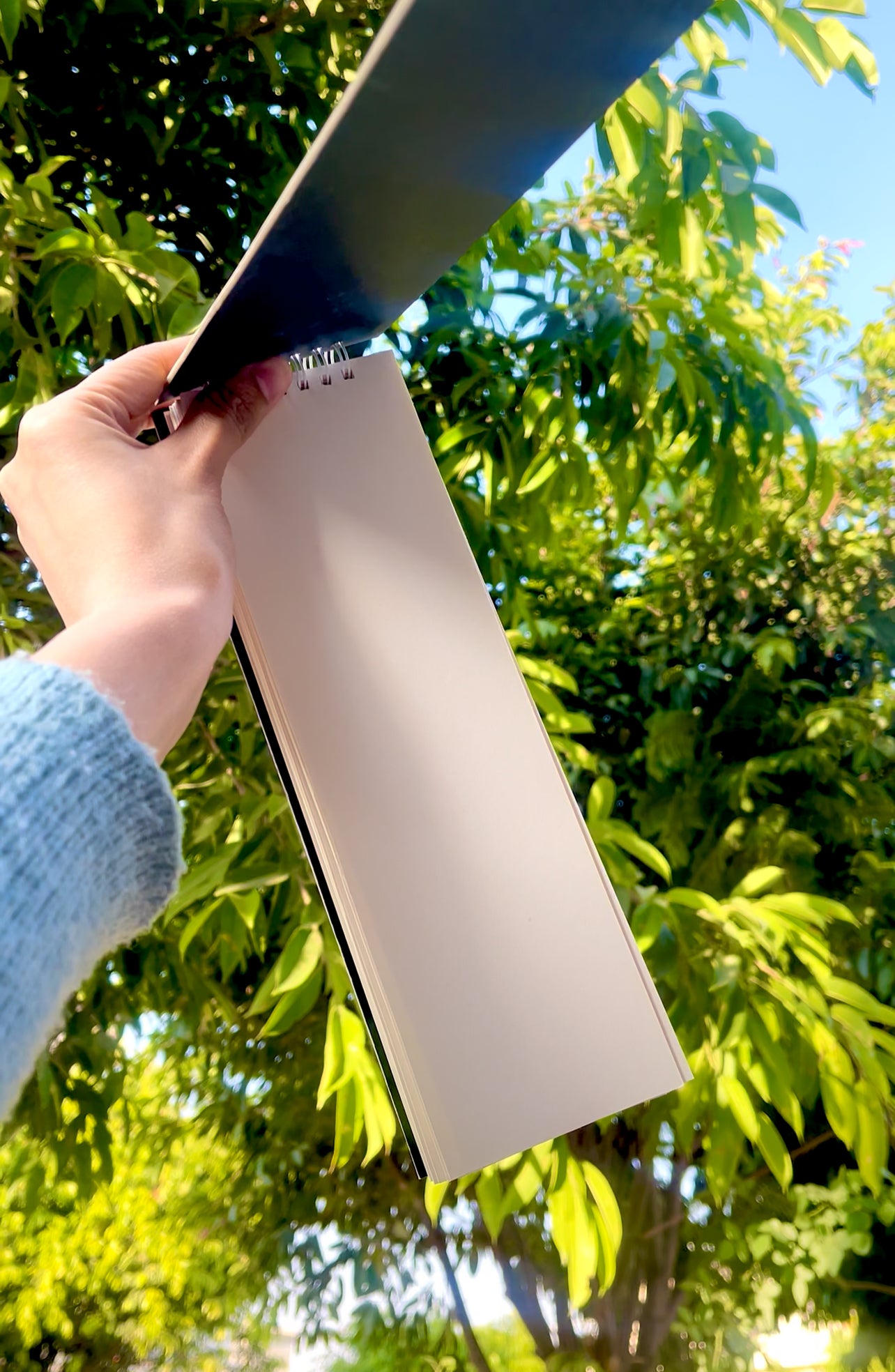 Sardines giant Notepad