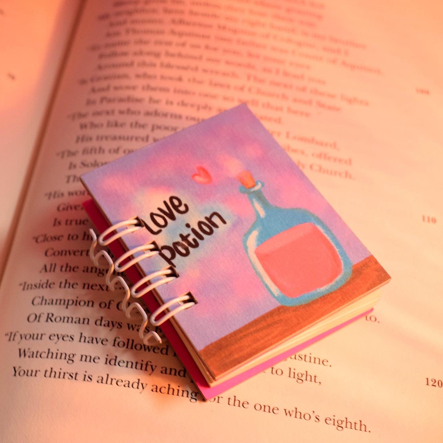 Miniature notebook set of 5