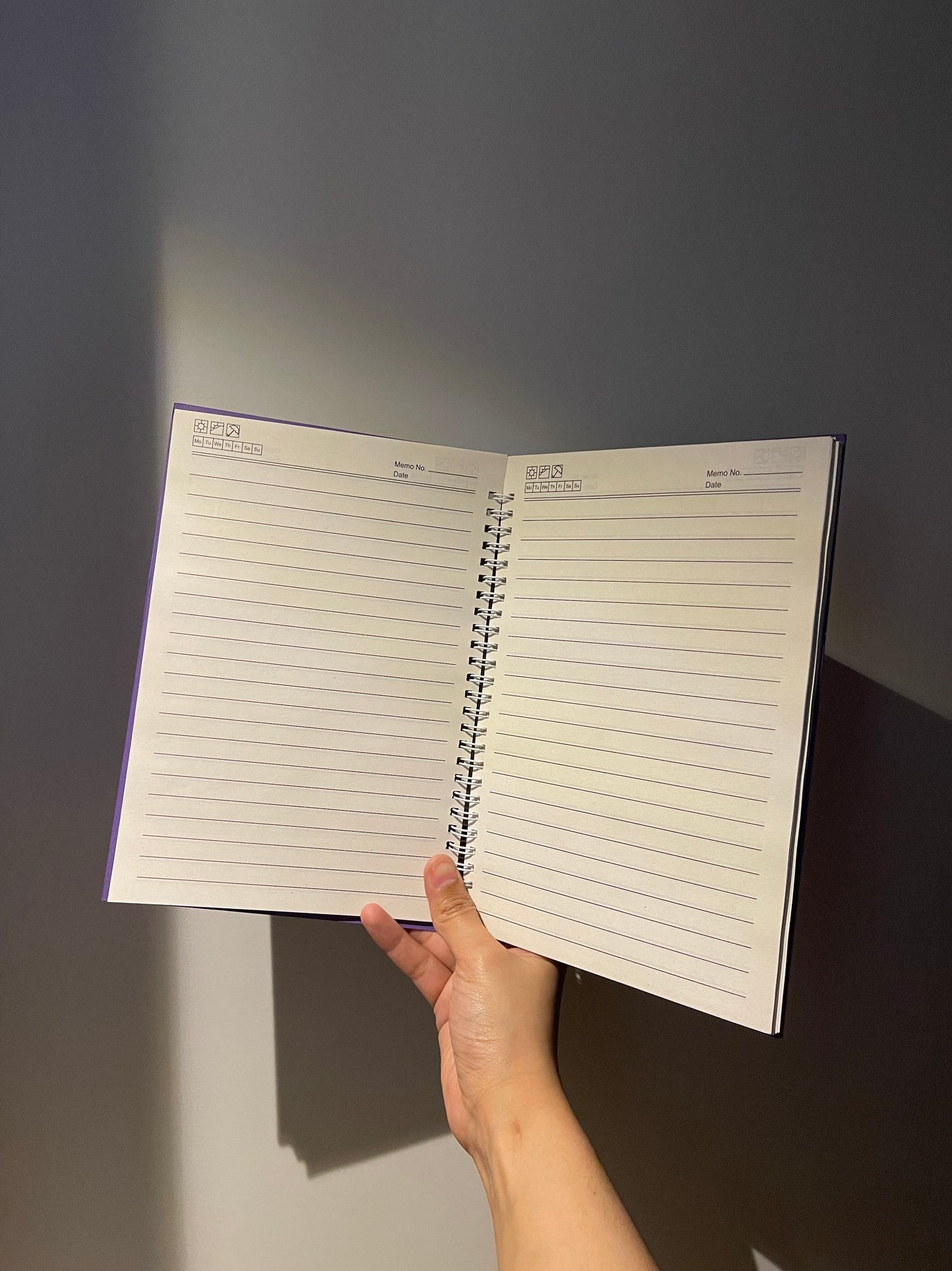 Risky consequences notebook