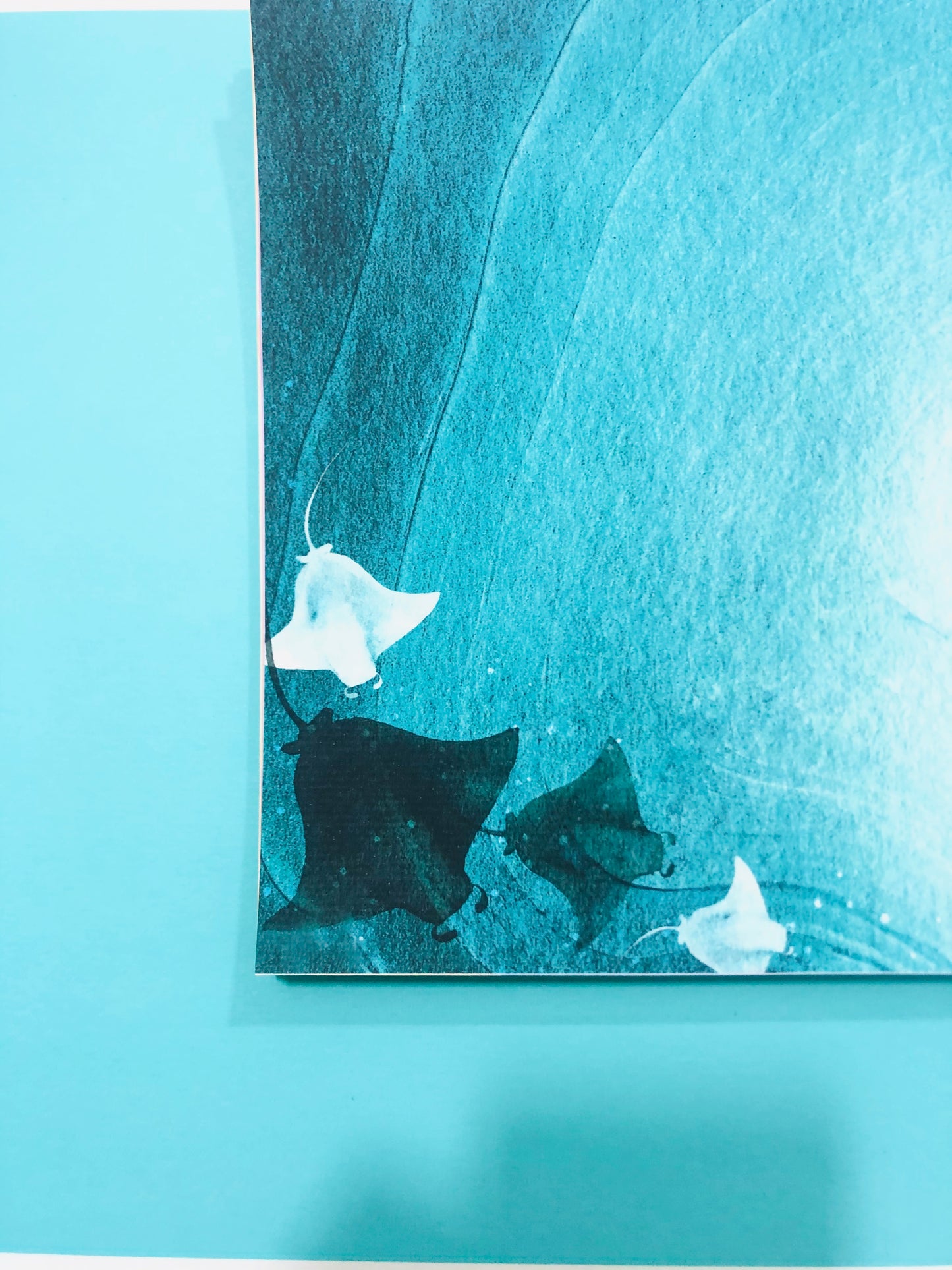 The Royal Love Story Scrapbook