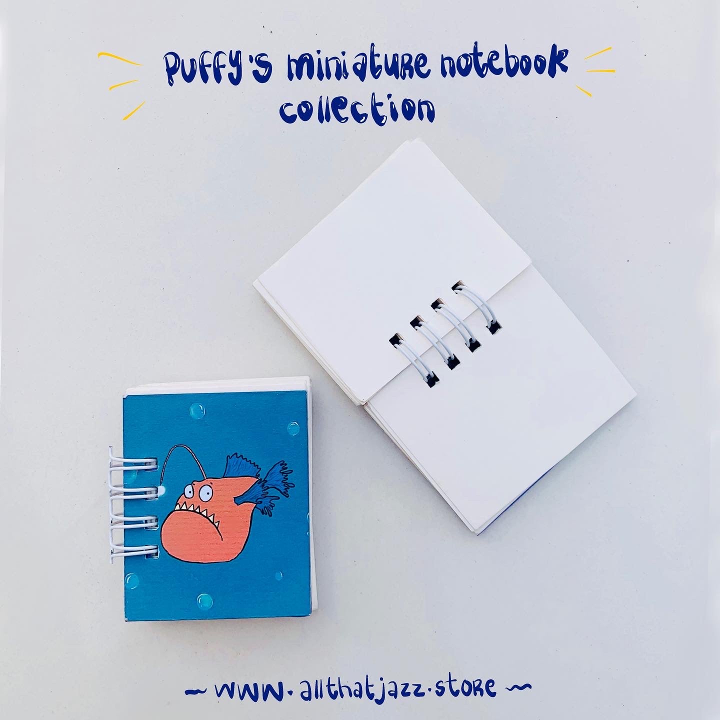 Puffy’s miniature notebook collection