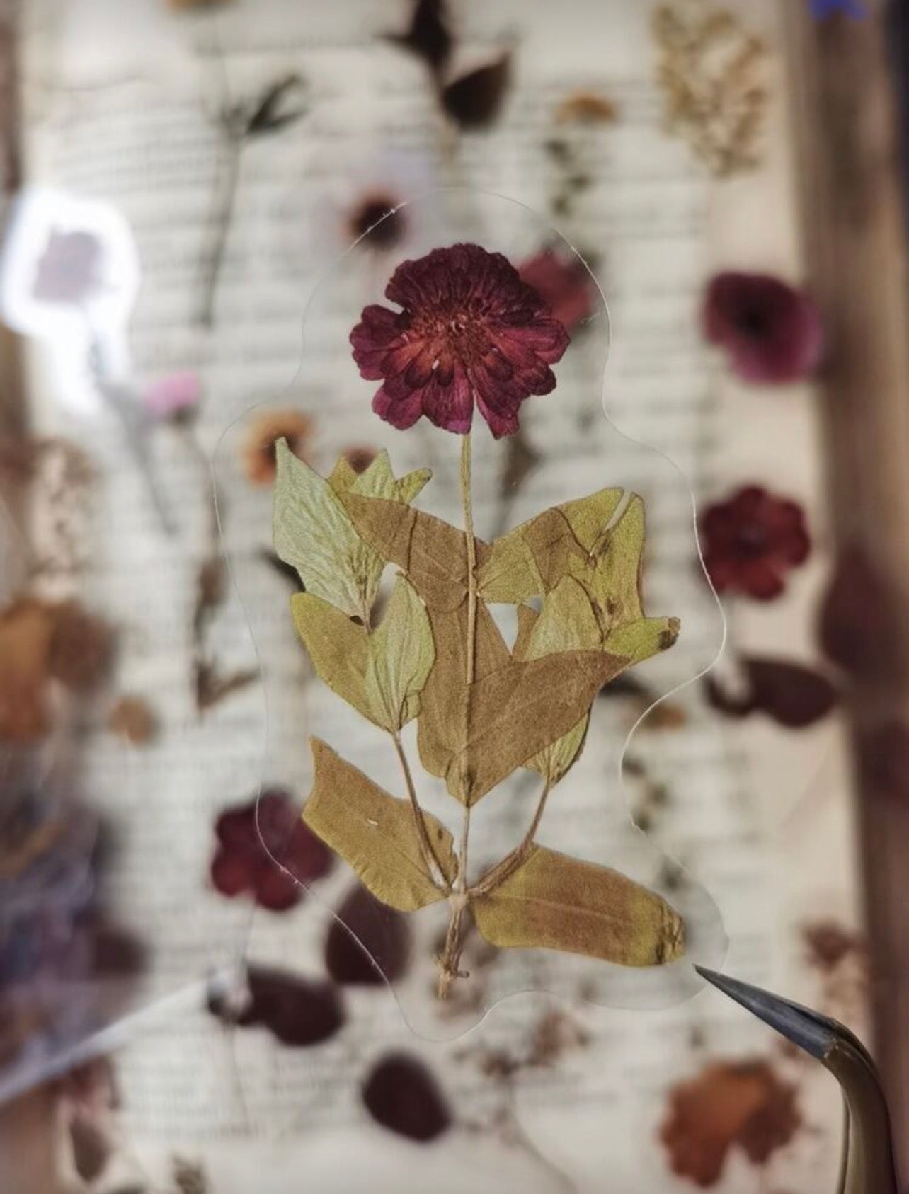 40pcs transparent pressed flower waterproof stickers