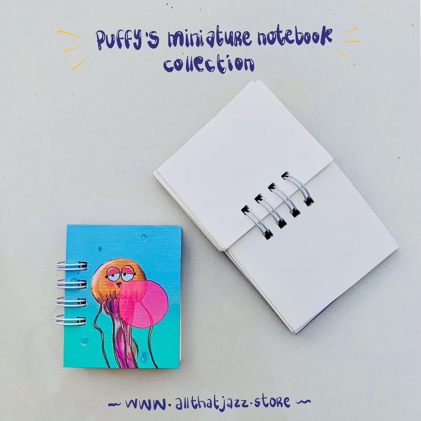 Puffy’s miniature notebook collection