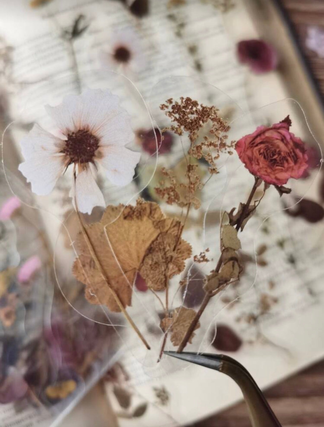 40pcs transparent pressed flower waterproof stickers