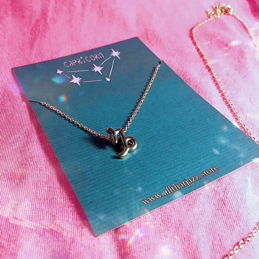 Capricorn necklace