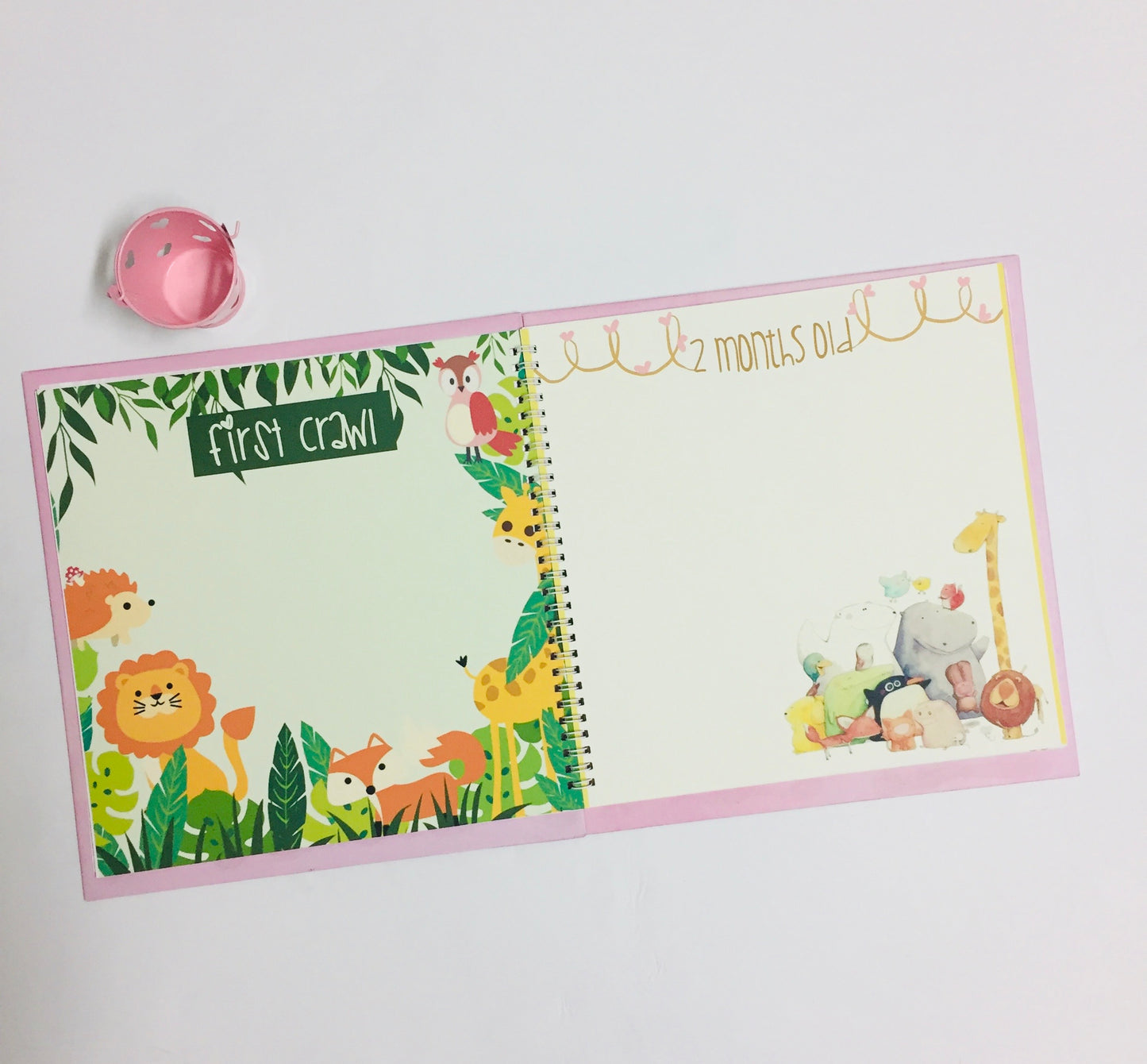 Baby Girl Scrapbook